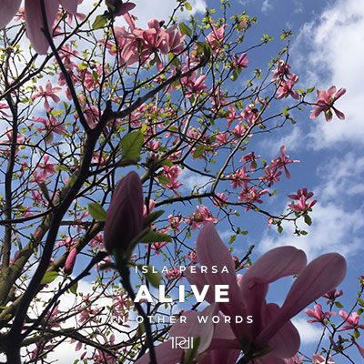 Alive - Isla Persa Music, Foto: Stefanie Klauke